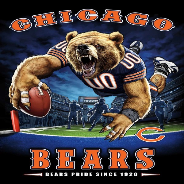 TS012 Chicago Bears